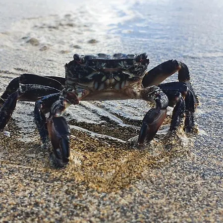 Lejlighed San Francisco 407 *