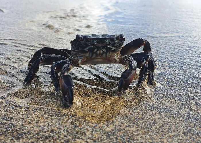 Lejlighed San Francisco 407 *